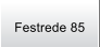 Festrede 85