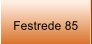 Festrede 85